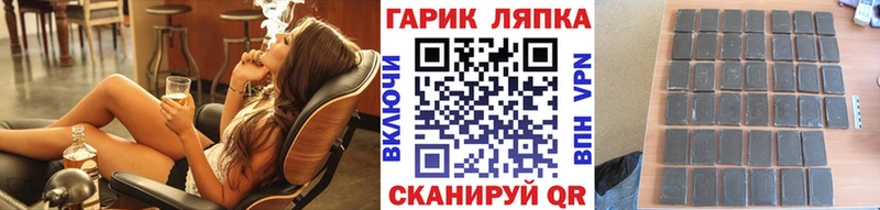 купить наркотик  мега ссылка  ГАШИШ индика сатива  Ессентуки 
